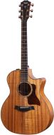 Taylor 724ce Grand Auditorium V-Class Bracing ES2 Elektronik Inkl. Koffer