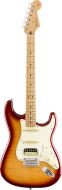 Fender Player Stratocaster Limited Edition MN Sienna Sunburst