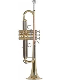Bach TR450B Bb-Trompete lackiert