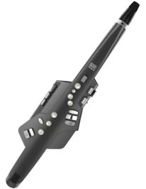 Roland AE-10 G Aerophone Grau