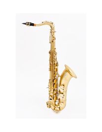 Antigua TS4248SFL-GH Tenorsaxophon Splendid Finish inkl. Canvas Form Case