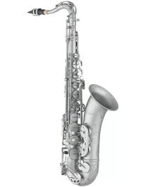 Antigua TS4248SFN-GH Tenorsaxophon Splendid Nickel Finish inkl. Canvas Form Case