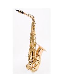 Antigua AS4248RLQ-GH Altsaxophon Goldmessing lackiert inkl. Canvas Form Case