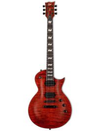 ESP LTD EC-1001 TEF E-Gitarre Tiger Eye