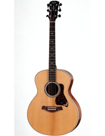 Taylor 814e Gold Label Westerngitarre  inklusive Koffer