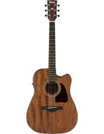Ibanez AW54CE - Open Pore Natural