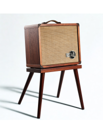 Taylor Circa 74  AV150-10 Akustik Vocal Verstärker