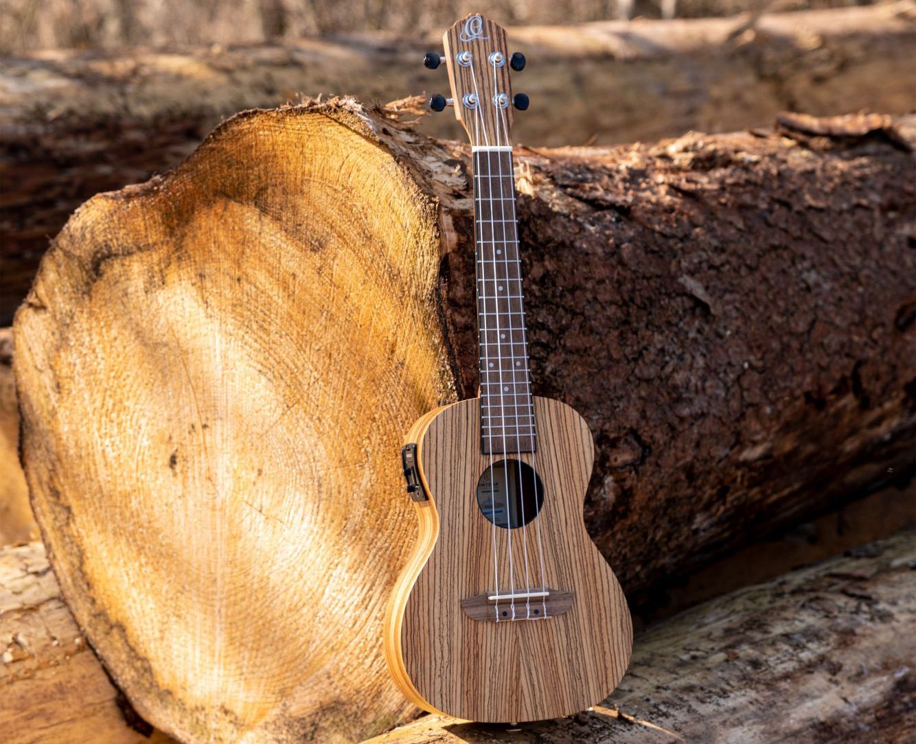 Eine Ukulele steht in der freien natur vor einem gefällten Baum